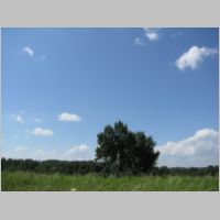 IMG_5375.jpg