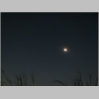 IMG_5402.jpg